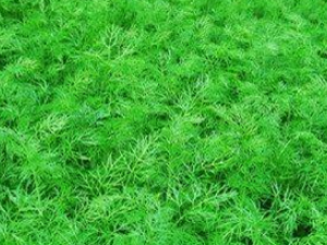 ���õ���ζ��ζ�ϣ�С����