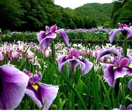 ���ѿ������񻺽�ͷʹ