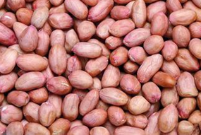 �߲��Ǹ�����ʳ��ά�ġ��󻧡�