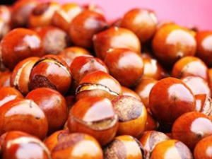 ˪����������� ��������������