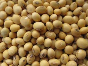 �ƶ��Է���������ɶ���������Ӫ��