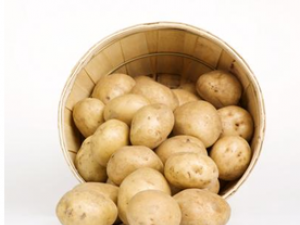 ��������ס���µĽŲ�