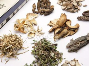 ĵ��ɢ��ҹ�Ը����ļ¾���