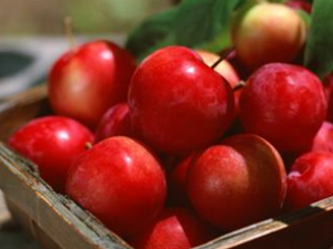 ÿ��һƻ����ҽ��Զ����