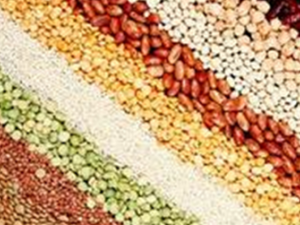 ȫ��ʳ��������䣬ֱָӪ�����