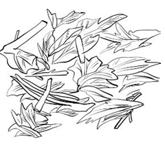 �ο�����б��ʡ��������ʥɢ