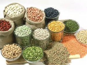 ������ճ���ʳ������������������ȡ