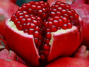 ��������ֹ�� ������θ��Ż��