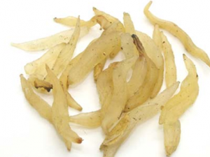 ������ҩ���Ŷ���Ĺ�Ч������