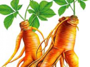 ��ҪäĿ���з综�߽����˲�