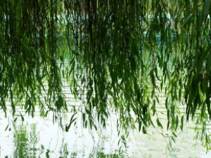 ��������ͨ�� 7���������β�