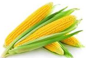 ��ͬ��ɫ������ ������Ч���в�ͬ