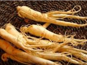 �˲���Ȼ�󲹵�������������