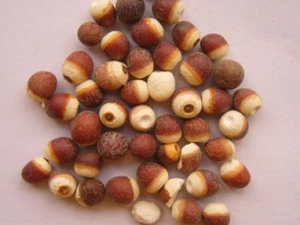 ������ҩ��ʵ����