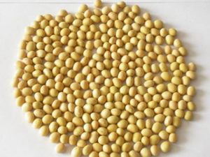 ��β��ܸ��õ���ȡ�����ͪ