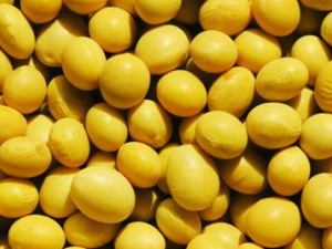 �ļ��Իƶ����ؼ���������