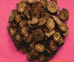 ��ζǼ�������ڼ���������