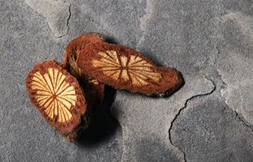 ���ҩ�����ҳ�