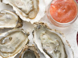 �����＾����׳��ʳ��