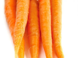 �����߲˵������Ŷ���