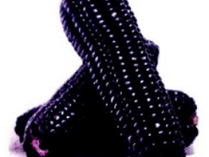 ������һЩ��ɫʳƷ���Ա����۾�