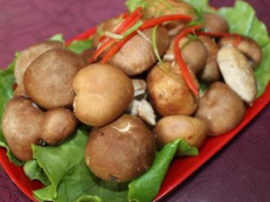 Ҫ��������ѭ���ٰ׶�ڡ�����ʳ����