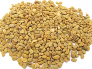 ������ҩ��«��