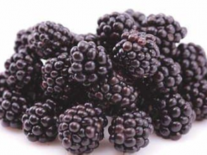 ʳ���ɫ������