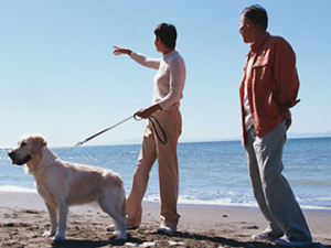 ��������������ҩ����