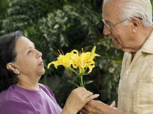 �������������޵�ʮ����