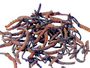 ��ҩ�ķ��÷����н���