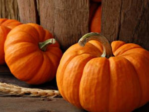 �������������߲�