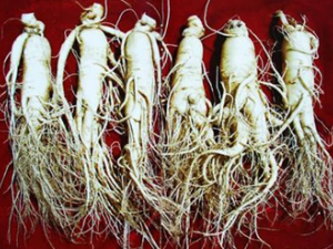 ԰�εĹ�Ч������