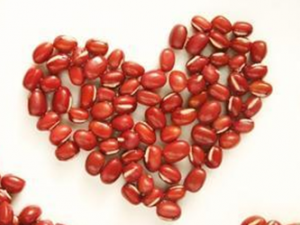 ��С���Ǻܺõ���������ʳƷ