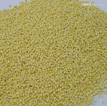 ������β����Ƚⶾ