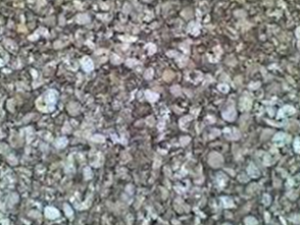 ʹ���в�ҩ����Ҫע��