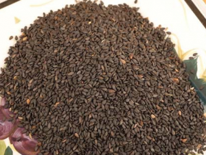 ֬���ֲ���֥�������