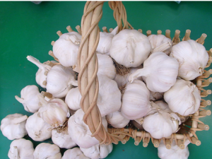 �����볣����ҩ��ɵ�ʳ��