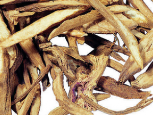 ��ҩ������Ӧ��Ҫ���ļ���