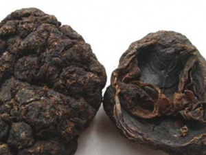 �ϳ�����ҩ�Ϻӳ��Ĺ�Ч������