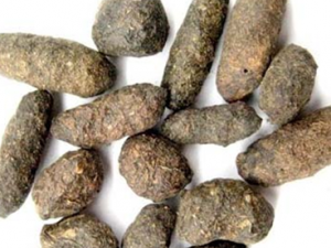 �ϳ�����ҩ����֬�Ĺ�Ч������