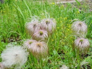 ��ͷ�̵Ĺ�Ч������