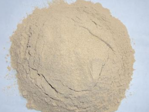 ���߷����������Իư�