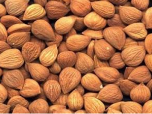 �����ʴ���ʳ�����ж�����