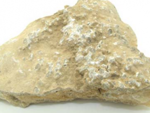 �ٳ�����ҩ����ʯ������