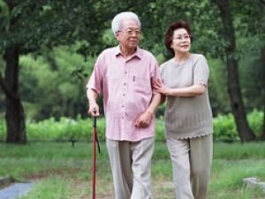 �����߲��ܳ���ζ�ػ���