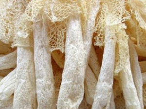 ��ҩ�������Ƹ��ָ���