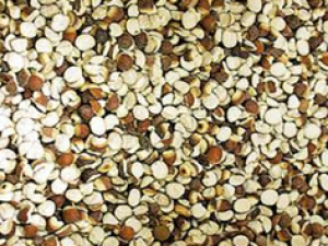 �и�ǧ��Ҫ������ҩ