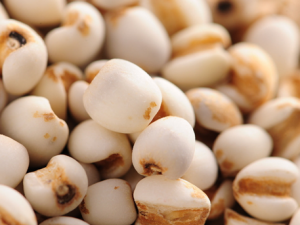 �Ŀݲݴ��賣��������