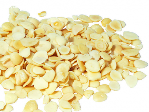 ����ɢ��ֹʹ ��������